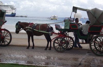 FIN DE LA CROISIERE... ET TIRAGE AU SORT DE LA PETITE CARTE!