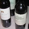 Dégustation des vins du millésime 2011 au Château Mangot (Saint Emilion)