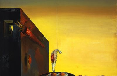 Menil Collection reinstalls celebrated Surrealist galleries to create dialogue with Dalí