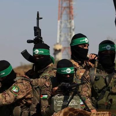 !!Génocide à Gaza: J 643!! L'armée du régime terroriste israélien est très forte... contre les enfants, les femmes, les personnées âgées et les malades