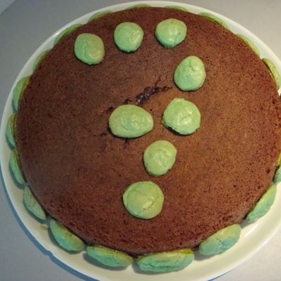 Leyla 7 Ans ... Un gâteau au chocolat ... déco macarons !