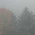 BrOuillard...Tôt le matin...... le brouillard