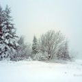 À 1 km de chez-moi.. on rentre dans l'hiver!!