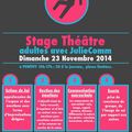 NOUVEAU Stage Adultes novembre 2014