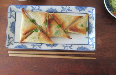 Bricks aux champignons asiatiques