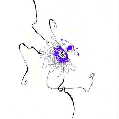 Nouveautés !! News !! Novedades !!