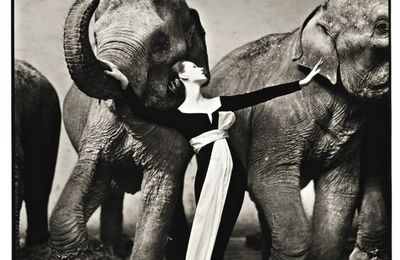 Sotheby's Photographs totals $5.1 million in New York