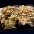 Brucite on Goethite. Nchwaning II mine, Northern Cape Province, South Africa