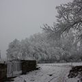 La neige et le givre en cette fin de matinée...