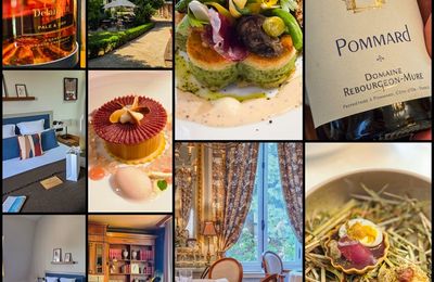 Hostellerie Cèdre & Spa Beaune - Restaurant Clos du Cèdre*
