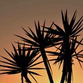 dernier coucher de soleil à Lanzarote 