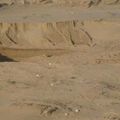 بيع الرمال:تعاونية الحمامة البيضاء تطالب بوقف النزيف بتطبيق القانون