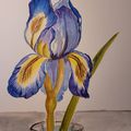 Iris -Aquarelle