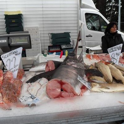 Mardi 27 janvier 2009 - Marché de Codroipo