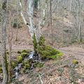 Randonnée du mardi 21 mars après-midi - La Chabanne