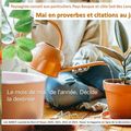 👨‍🌾 Mai 2024 en proverbes et citations par Paysagiste pays basque Paysagiste Landes. 