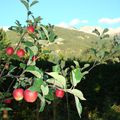 L'automne est déjà a nos portes... et l'hiver