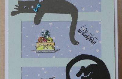 Des chats pour un anniversaire
