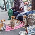 Paris, la ville, les gens