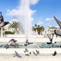 La fontaine aux pigeons