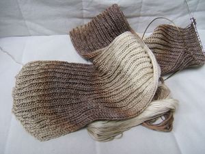 Côtes anglaises ou point brioche