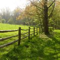 La ferme d'Uccle au Fort-Jaco