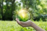 L'innovation environnementale : Impropable ou solution d'avenir ?