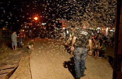 Dernière soirée à Vientiane