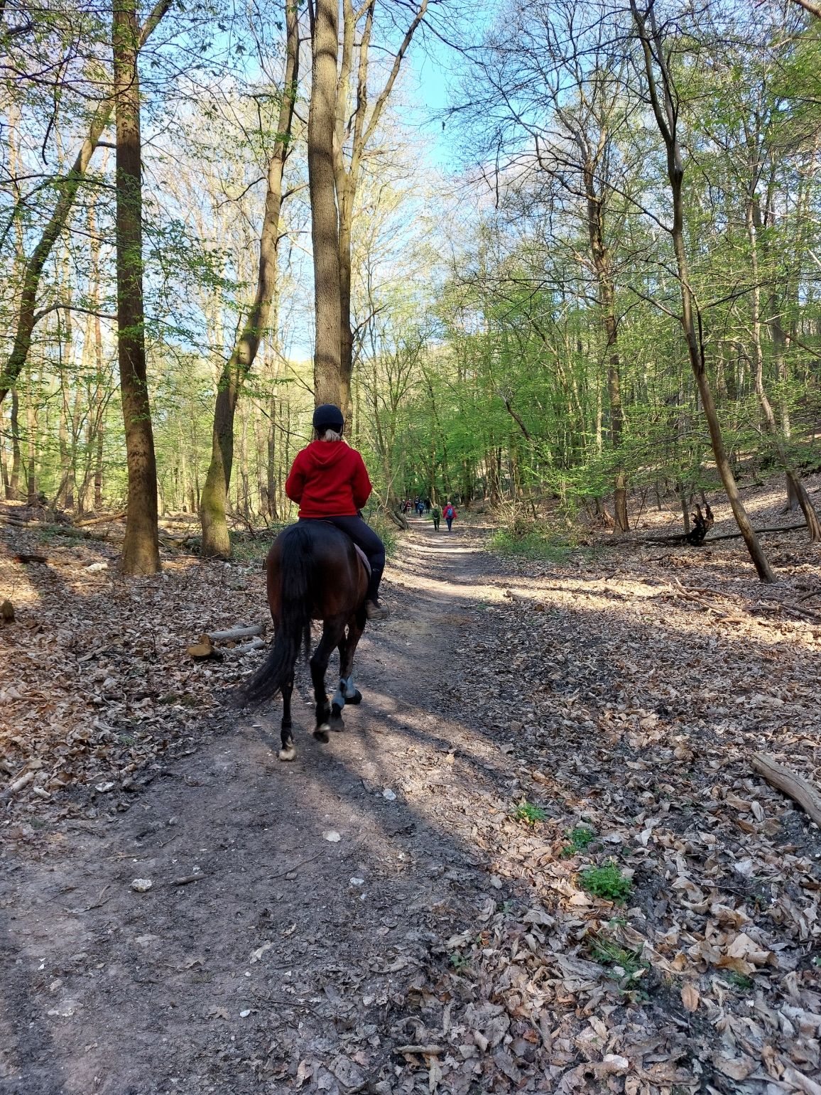 14. 2025. Saint Martin de Boscherville dimanche 6 avril - Copie