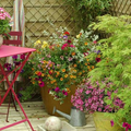 ---- Terrasse et jardin- dans un style campagne ----