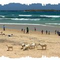 Photo du jour// Plage de Yoff après les Cétacés