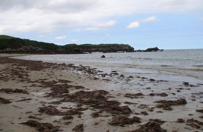 Asturias: plage de Niembro