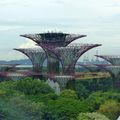 LES SUPERTREES DE GARDENS BY THE BAY (SINGAPOUR)