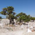 Joal-fadiouth : Arrêt sur le cimetière marin, un symbole de paix au Sénégal