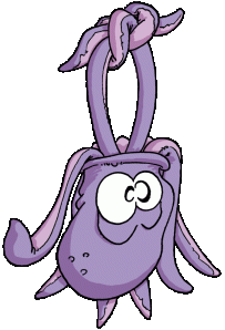 Nicolas, le poulpe saugrenu a peur de Facebook  