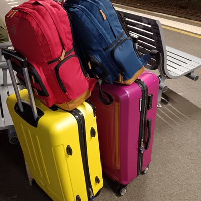 Y'aura-t-il de la neige à Noël ??