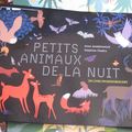 Petits animaux de la nuit, par Anne Jankéliowitch & Delphine Chedru