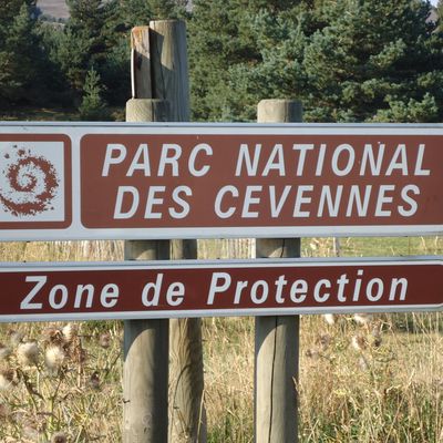 Station du mont Lozère - Le Pont de Montvert 16 kms