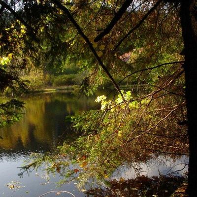 VOSGES, Col de Martimpre, BELLE FRANCE, BEAUTE DE FRANCE, Guy Peinturier, VAIRES