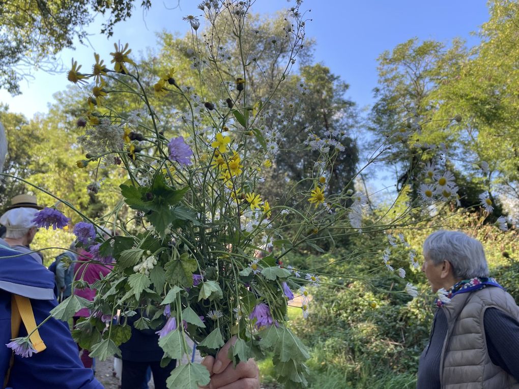 Lundi 06 octobre 2025 ma rando du mercredi 01 oct 2025  : L’“île de Mirefleurs” est une ancienne carrière réaménagée en plan d’eau, proche de la rivière Allier, à Mirefleurs dans le Puy‑de‑Dôme (63 ) Mon diapo au fil de mes pas 