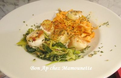 Coquilles st Jacques à la carotte et au poireau crémées et au curcuma et danse des coquilliers