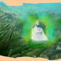  Hommage à Marie-"Notre dame de la mer .....à Chiffalo"