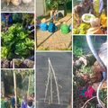 atelier permaculture novembre 2024 en Maison des Enfants