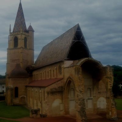 QUELQUES BEAUX EDIFICES ENTRE LYON ET TOURS IV