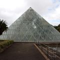 Royal botanic garden