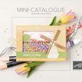 Mini catalogue janvier -juin et promo Sale A Bration