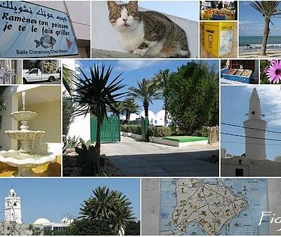 Retour de qqs jours au Soleil et ...