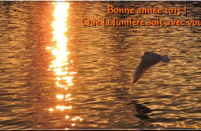 BONNE ANNEE 2015 !!!!!!