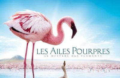 Les Ailes Pourpres