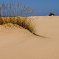 Désert et dunes ?